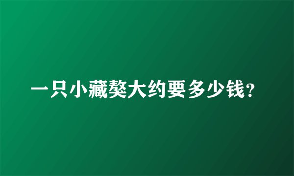 一只小藏獒大约要多少钱?
