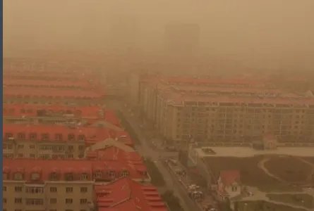 浮尘是什么意思?