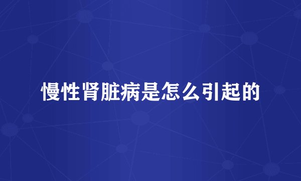 慢性肾脏病是怎么引起的