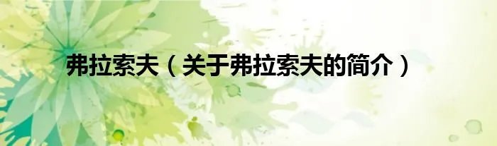 弗拉索夫（关于弗拉索夫的简介）