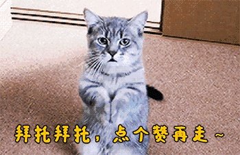 中芯国际会成为下一个中国石油吗?
