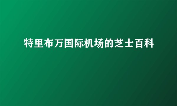 特里布万国际机场的芝士百科