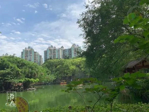 重庆的空气质量好吗?