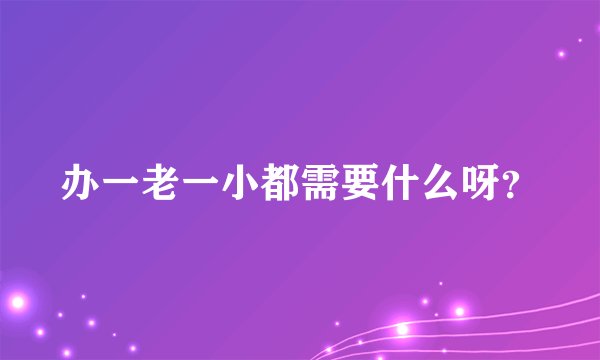 办一老一小都需要什么呀？