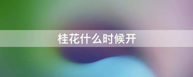 桂花什么时候开