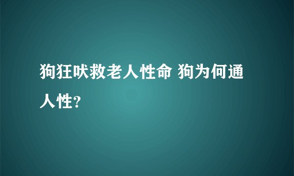 狗狂吠救老人性命 狗为何通人性?