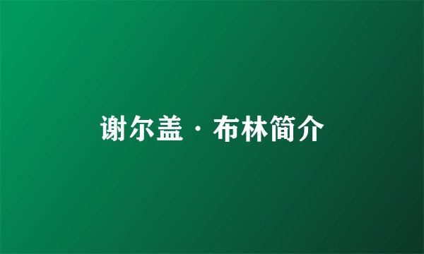 谢尔盖·布林简介