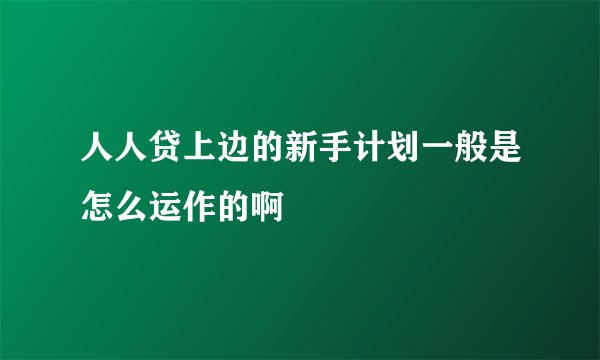 人人贷上边的新手计划一般是怎么运作的啊