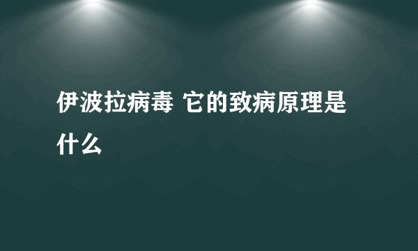 伊波拉病毒 它的致病原理是什么