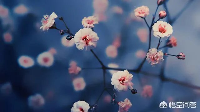 青春大概应该怎样过?