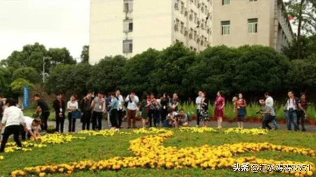 湖北生物科技职业技术学院和湖北交通职业技术学院哪个学校好?