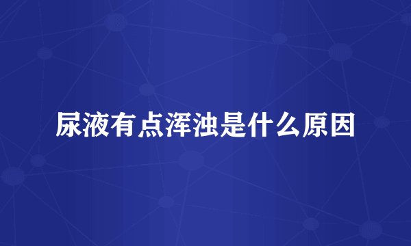 尿液有点浑浊是什么原因