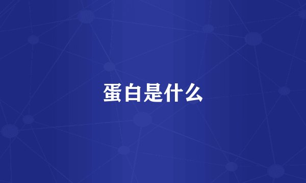 蛋白是什么