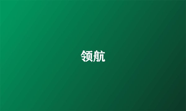 领航