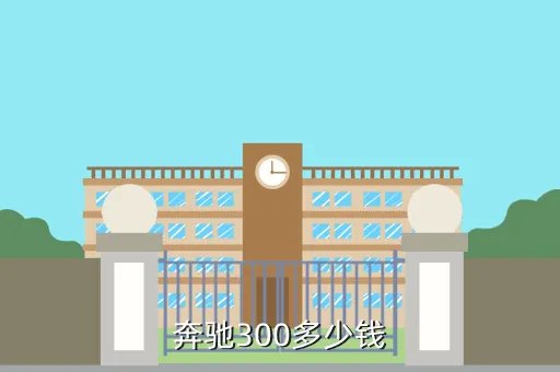 奔驰300,奔驰 300多少钱