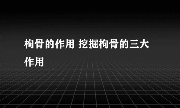 枸骨的作用 挖掘枸骨的三大作用