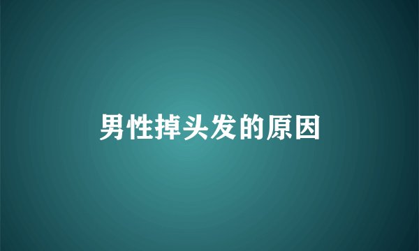 男性掉头发的原因