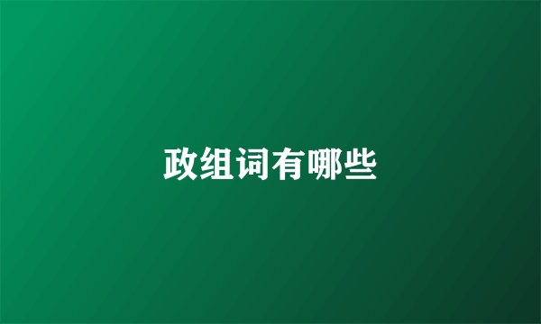 政组词有哪些