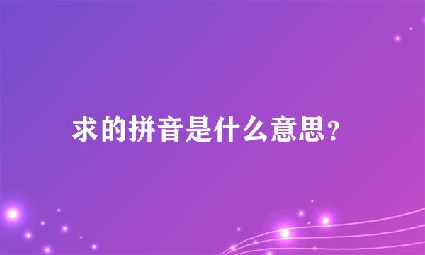 求的拼音是什么意思？