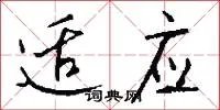 适应