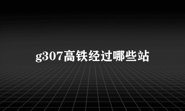 g307高铁经过哪些站