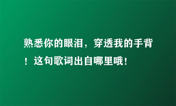 熟悉你的眼泪，穿透我的手背！这句歌词出自哪里哦！
