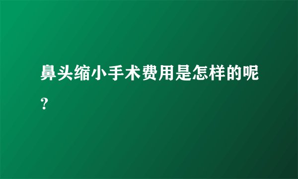 鼻头缩小手术费用是怎样的呢？
