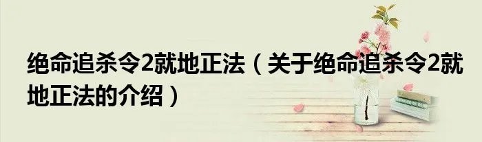绝命追杀令2就地正法（关于绝命追杀令2就地正法的介绍）