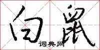 白鼠