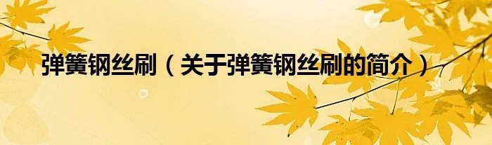 弹簧钢丝刷(关于弹簧钢丝刷的简介)