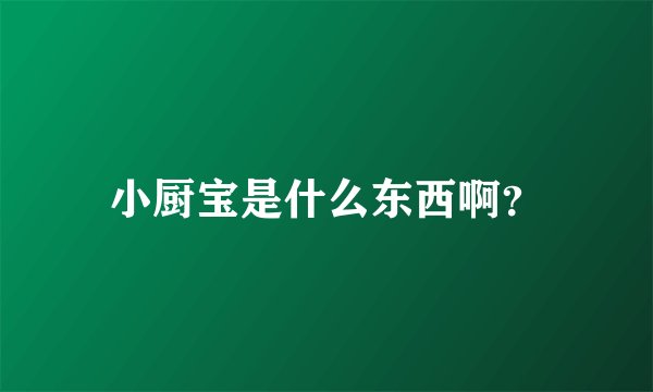 小厨宝是什么东西啊？