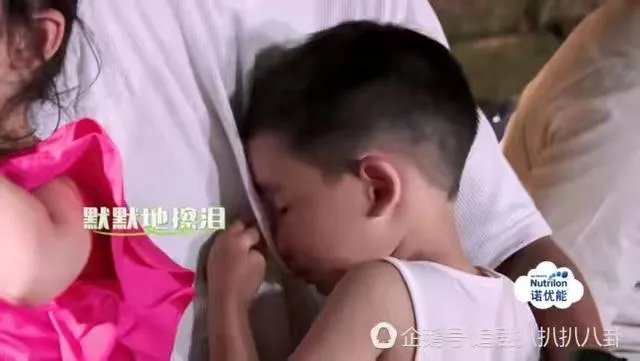为什么这么多人喜欢Jasper?
