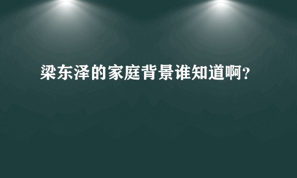 梁东泽的家庭背景谁知道啊？