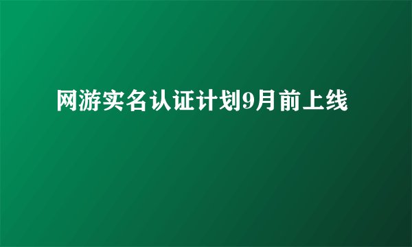网游实名认证计划9月前上线