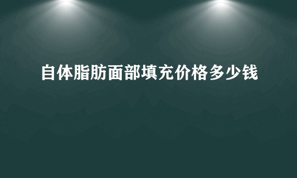 自体脂肪面部填充价格多少钱