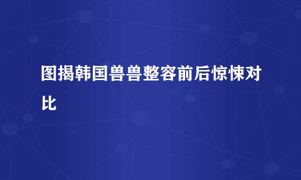 图揭韩国兽兽整容前后惊悚对比