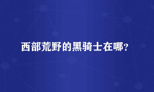 西部荒野的黑骑士在哪？