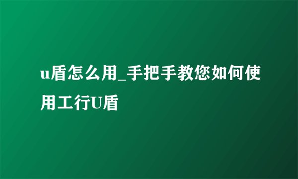 u盾怎么用_手把手教您如何使用工行U盾