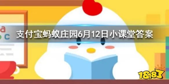 提问请回答！在芝麻信用租的手机忘记归还逾期被扣分可以怎么做？