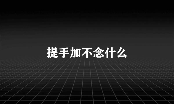 提手加不念什么