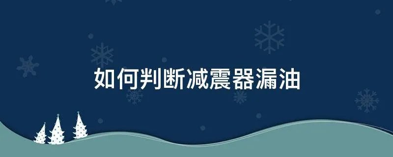 如何判断减震器漏油