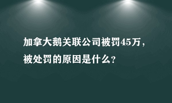 加拿大鹅关联公司被罚45万，被处罚的原因是什么？