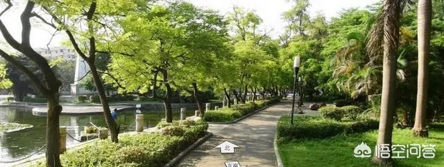 广西大学怎么样?