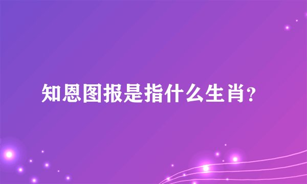 知恩图报是指什么生肖？