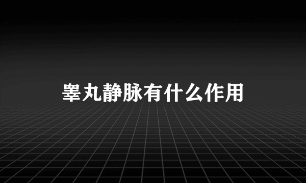 睾丸静脉有什么作用