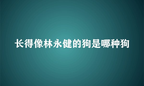 长得像林永健的狗是哪种狗