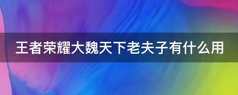 王者荣耀大魏天下老夫子有什么用