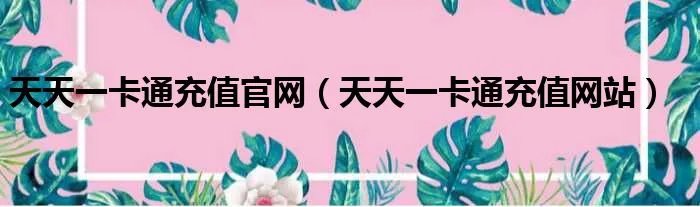 天天一卡通充值官网(天天一卡通充值网站)
