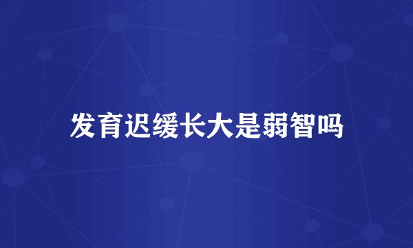 发育迟缓长大是弱智吗