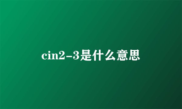 cin2-3是什么意思